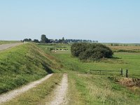 NL, Friesland, Nijefurd, Groote Warnser Zuiderpolder 2, Saxifraga-Jan van der Straaten