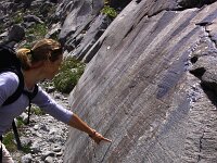 A, Salzburg, Neukirchen, Obersulzbachtal 1, Saxifraga-Jonathan Vandevoorden