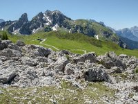 I, Belluno, Cortina d'Ampezzo, Passo di Giau 2, Saxifraga-Luuk Vermeer