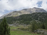 I, Sondrio, Chiesa Valmalenco, Alpe dell Oro 9, Saxifraga-Willem van Kruijsbergen