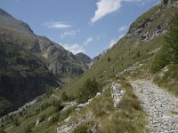 I, Sondrio, Chiesa Valmalenco, Valle del Muretto 2, Saxifraga-Willem van Kruijsbergen