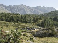 I, Sondrio, Lanzada, Alpe Campagneda 1, Saxifraga-Willem van Kruijsbergen