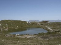 I, Sondrio, Lanzada, Passo Canciano 8, Saxifraga-Willem van Kruijsbergen