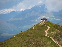 I, Sued Tirol, Innichen, Monte Elmo 1, Saxifraga-Luuk Vermeer