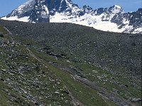 I, Valle d'Aosta, Cogne, Col de Lauson 7, Saxifraga-Jan van der Straaten