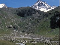 I, Valle d'Aosta, Cogne, Levionaz 1, Saxifraga-Jan van der Straaten