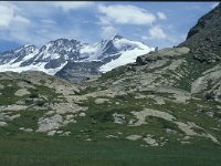 I, Valle d'Aosta, Valsavarenche, Piano del Nivolet 2, Saxifraga-Jan van der Straaten