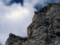 I. Valle d'Aosta, Rhemes-Notre Dame, Colle della Porta 11, Saxifraga-Jan van der Straaten