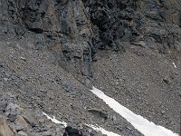 I. Valle d'Aosta, Rhemes-Notre Dame, Colle della Porta 13, Saxifraga-Jan van der Straaten