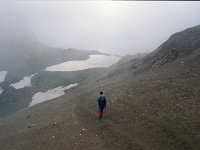 I. Valle d'Aosta, Rhemes-Notre Dame, Vallone di Leynir 2, Saxifraga-Jan van der Straaten