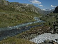 N, Innlandet, Lom, Krossbu 1, Saxifraga-Marijke Verhagen