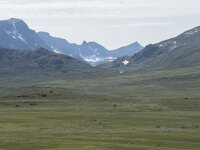 N, Innlandet, Oystre Slidre, Valdresflya 19, Saxifraga-Willem van Kruijsbergen