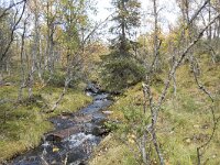 N, Innlandet, Sel, Mysuseter 102, Saxifraga-Willem van Kruijsbergen