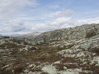 N, Innlandet, Sel, Mysuseter 62, Saxifraga-Willem van Kruijsbergen