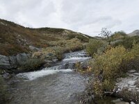N, Innlandet, Sel, Peer Gynt Hytta 105, Saxifraga-Willem van Kruijsbergen
