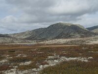 N, Innlandet, Sel, Peer Gynt Hytta 152, Saxifraga-Annemiek Bouwman