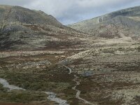 N, Innlandet, Sel, Peer Gynt Hytta 156, Saxifraga-Annemiek Bouwman