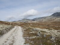 N, Innlandet, Sel, Peer Gynt Hytta 72, Saxifraga-Willem van Kruijsbergen