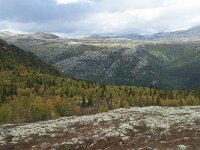 N, Innlandet, Sel, Smaahaarrtjonne 23, Saxifraga-Annemiek Bouwman