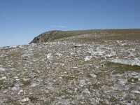 N, Nordland, Andoy, Nonstinden 29, Saxifraga-Willem van Kruijsbergen