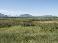 N, Nordland, Andoy, Nordmela 19, Saxifraga-Willem van Kruijsbergen