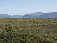 N, Nordland, Andoy, Nordmela 21, Saxifraga-Willem van Kruijsbergen