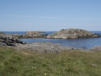 N, Nordland, Oksnes, Gisloya 38, Saxifraga-Willem van Kruijsbergen