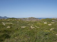 N, Nordland, Oksnes, Gisloya 40, Saxifraga-Willem van Kruijsbergen