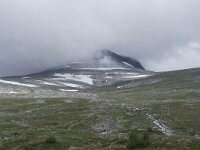 N, Nordland, Rana, Storforshei 11, Saxifraga-Willem van Kruijsbergen