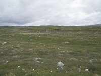 N, Nordland, Rana, Storforshei 13, Saxifraga-Willem van Kruijsbergen