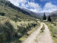 P, Guarda, Manteigas, Sao Pedro 10, Saxifraga-Kees Marijnissen