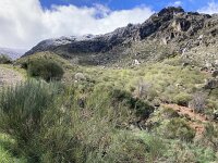 P, Guarda, Manteigas, Sao Pedro 16, Saxifraga-Kees Marijnissen