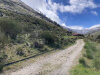 P, Guarda, Manteigas, Sao Pedro 8, Saxifraga-Kees Marijnissen