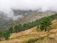 E, Avila, Guisando, Galayos valley 33, Saxifraga-Tom Heijnen