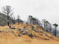 E, Avila, Guisando, Galayos valley 37, Saxifraga-Tom Heijnen