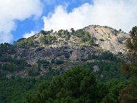 E, Avila, Guisando, near village 2, Saxifraga-Tom Heijnen