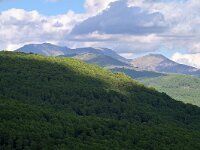 E, Avila, Guisando, near village 7, Saxifraga-Tom Heijnen