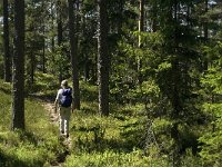 S, Gavleborgs lan, Hudiksvall, Holick 11, Saxifraga-Jan van der Straaten