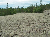 S, Vasternorrlands lan, Kramfors, Hogklinten 2, Saxifraga-Hans Dekker