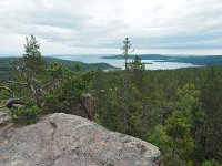 S, Vasternorrlands lan, Kramfors, Hogklinten 4, Saxifraga-Hans Dekker