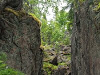 S, Vasternorrlands lan, Kramfors, Hogklinten 6, Saxifraga-Hans Dekker