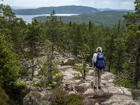 S, Vasternorrlands lan, Kramfors, Skuleskogen 12, Saxifraga-Jan van der Straaten