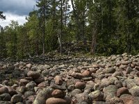 S, Vasternorrlands lan, Kramfors, Skuleskogen 4, Saxifraga-Jan van der Straaten