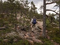 S, Vasternorrlands lan, Kramfors, Skuleskogen 6, Saxifraga-Jan van der Straaten