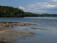 S, Vasternorrlands lan, Ornskoldsvik, Skuleskogen 11, Saxifraga-Jan van der Straaten