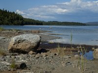 S, Vasternorrlands lan, Ornskoldsvik, Skuleskogen 17, Saxifraga-Marijke Verhagen