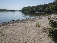 S, Vasternorrlands lan, Ornskoldsvik, Skuleskogen 5, Saxifraga-Jan van der Straaten