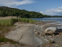 S, Vasternorrlands lan, Ornskoldsvik, Skuleskogen 9, Saxifraga-Jan van der Straaten