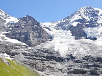 CH, Bern, Lauterbrunnen, Kleine Scheidegg-Wengeralp, Saxifraga-Tom Heijnen