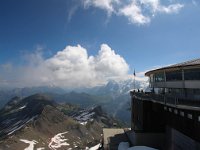 CH, Bern, Lauterbrunnen, Schilthorn 4, Saxifraga-Bart Vastenhouw